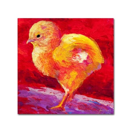 Trademark Fine Art Marion Rose 'Chic IV' Canvas Art, 35x35 ALI7708-C3535GG